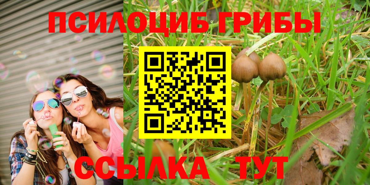 Псилоцибиновые грибы прущие грибы Электросталь