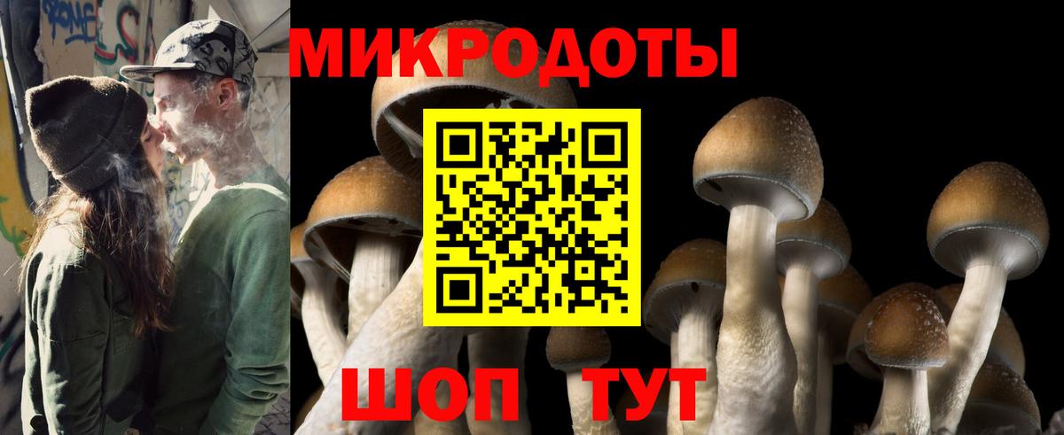 Галлюциногенные грибы прущие грибы  Вход с VPN  Электросталь 